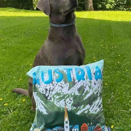 Grubhof Schlosspark, Mit Indoor Pool Und Garten Daire Sankt Martin bei Lofer